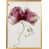 Gold Framed is out of stock