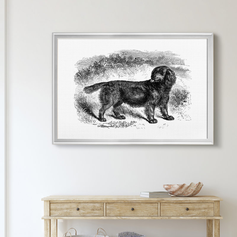 Sussex Spaniel - reproduction d'art sur toile, H 30,5 po x l 42,5 po x P 1,5 po, Argent