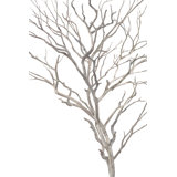 Enfolding Branches Print by David Brown
