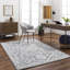 Oriental Area Rug-1714296875-1679011104
