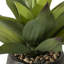 Ensemble de 16 plantes à agave artificielles dans un vase