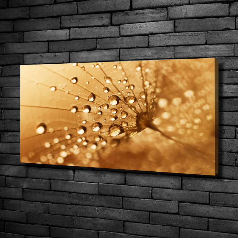 Dandelion - No Frame Print on Canvas