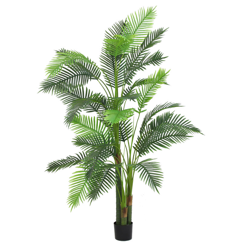 Palmier 78 "Paradise