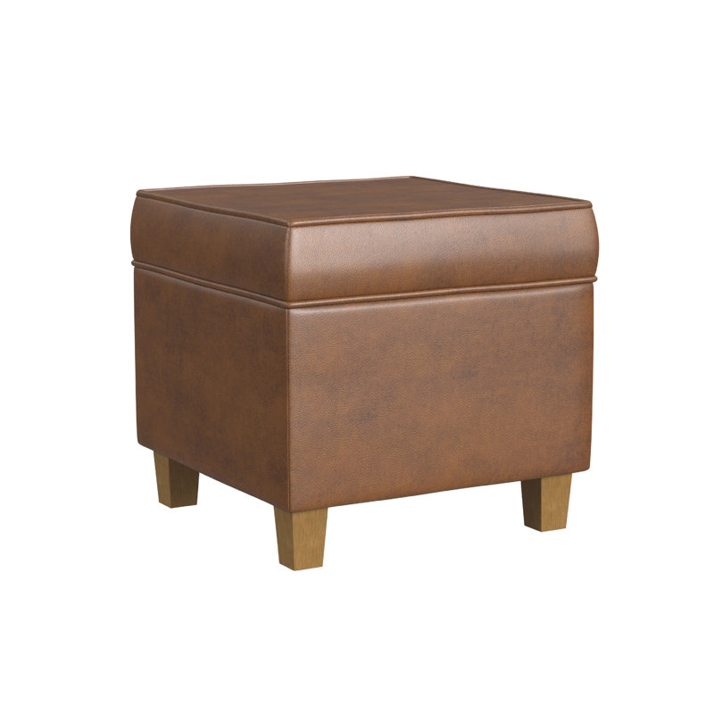 Pyp Square Storage Ottoman, 18 Inch Rich Faux Leather, Brown, Brown