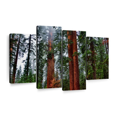 «Redwood Trees Vibrant Redwood», reproduction d'art sur toile 4 pièces