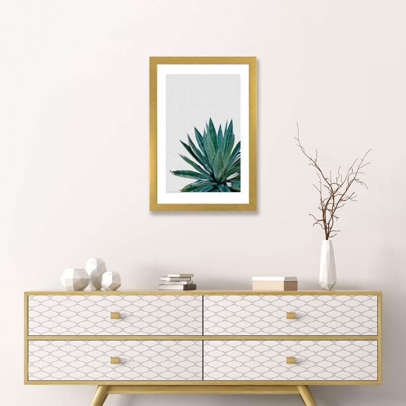 « agave cactus »-impression photographie, H 24 po x l 16 po x P 1 po, Papier encadré doré
