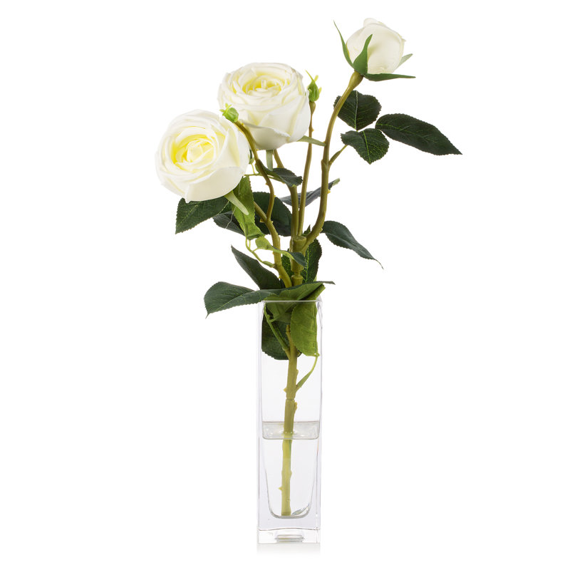Arrangement floral de roses dans un vase, Crème