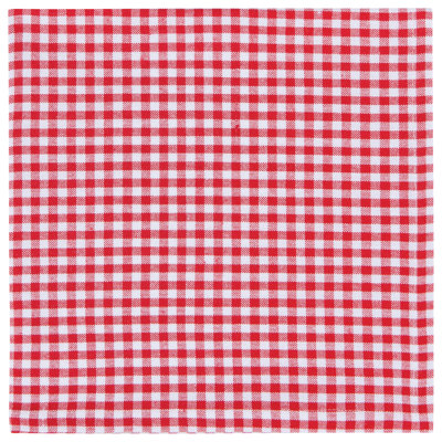 Houten 100% Cotton Gingham Square Napkin