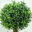 Banasky Set of 2 Decorative Artificial Plants Boxwood Trees in Pot, Green
