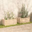 Boîte à fleurs en bois pour l'extérieur-131411484-131411483