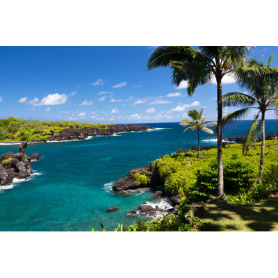 Palm Tree And Blue Ocean by Wingmar - Wrapped Canvas Print