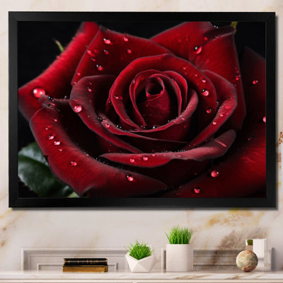 Rose rouge avec gouttes de pluie V sur toile
