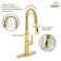 Spring Neck Standard Kitchen Faucet with Dual-Function spray head and Deck Plate