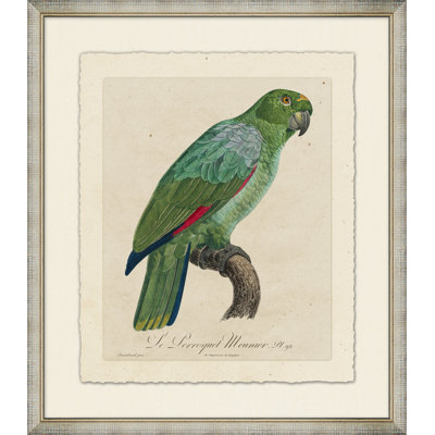 Le Perroquet 7 - Peinture encadrée sur papier