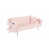 Rose est en rupture de stock
