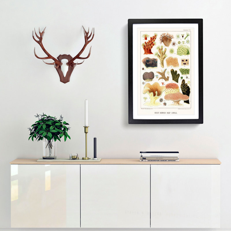 Great Barrier Reef Corals VIII by W. Saville-Kent - Picture Frame Painting Print, 48cm H x 36cm W x 2cm D, Black Framed