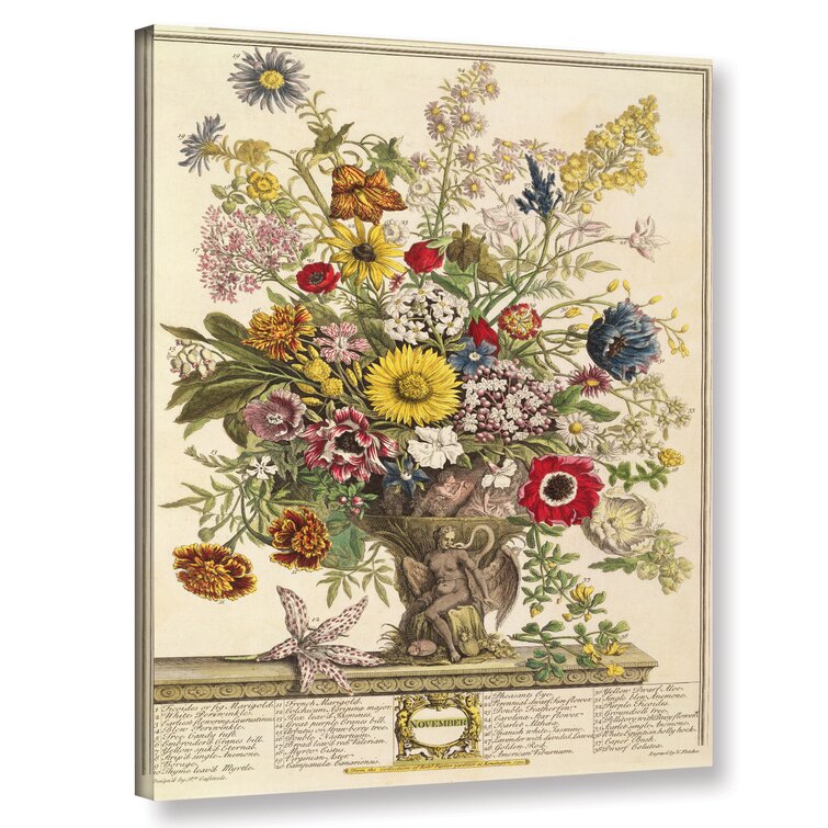 November from Twelve Months of Flowers Graphic Art on Wrapped Canvas