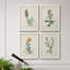 Traditional Botanical I - Ensemble de 4 reproductions de cadres photo sur toile-32851616-32851614
