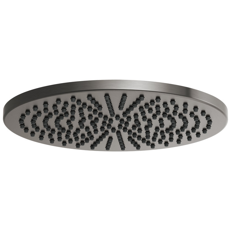 Essential™ Rain Adjustable Shower Head, Luxe Steel, 2.5 GPM