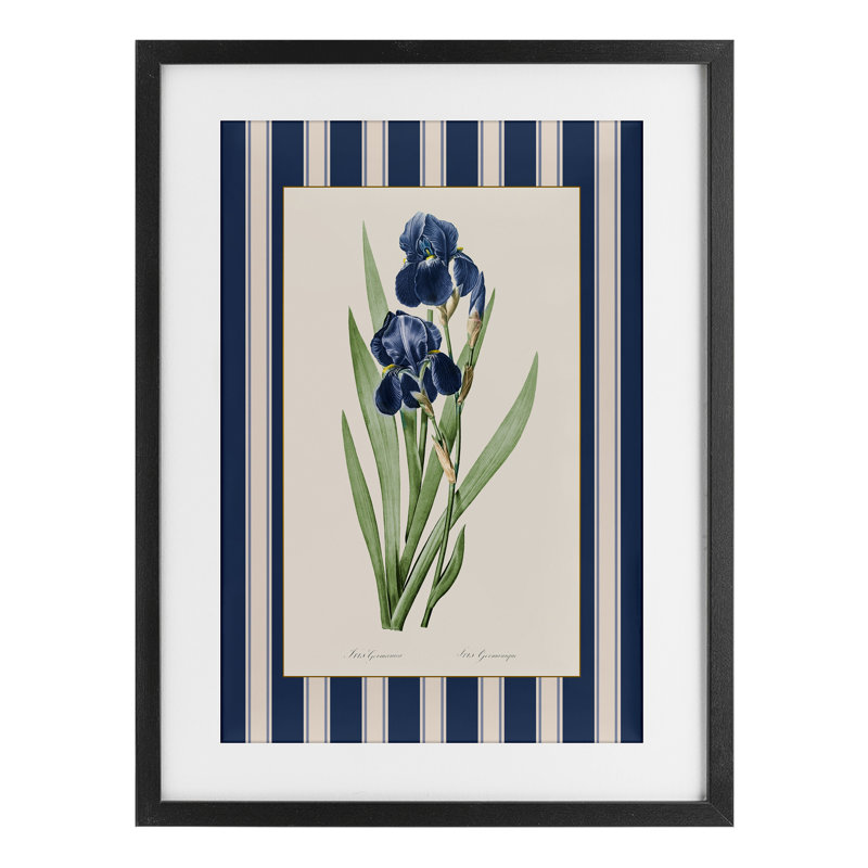 «Iris Study over Stripes», reproduction encadrée sous verre, conception de Corinne Haig, H 20 po x l 14 po, Cadre noir minuit