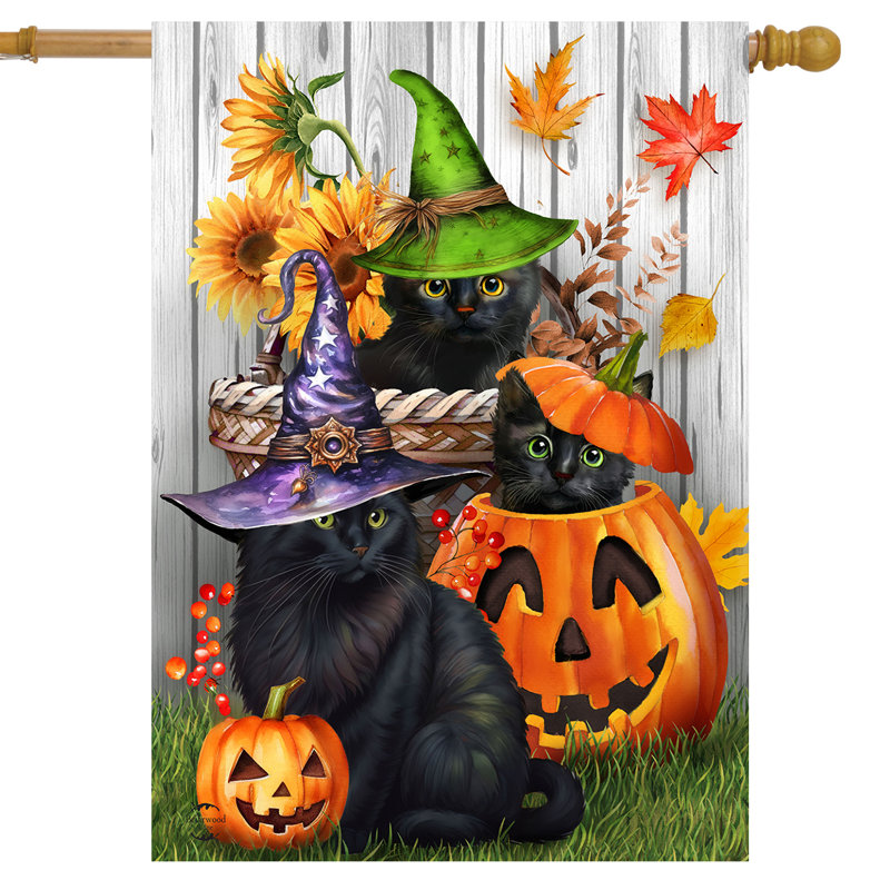 Drapeau d'Halloween pour chatons et valets, Halloween orange/noir/vert