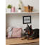 Panier en tissu Lattice Paw-261337403-261337401