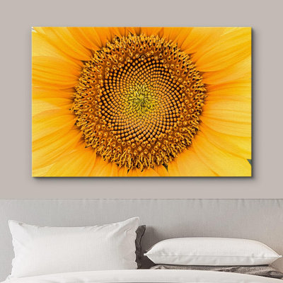 Tournesol "Gros plan détail tournesol d'été" sur