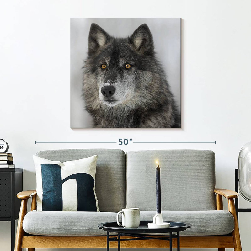 Crowle Surprised Wolf