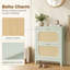 Shoe Storage Cabinet-1230823938