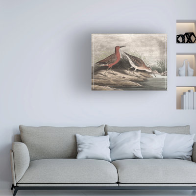 Bécasseaux dorés II sur toile