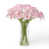Rose est en rupture de stock
