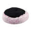 Aguilar Orthopedic Polyester Pet Bed-1417352647-1417352646