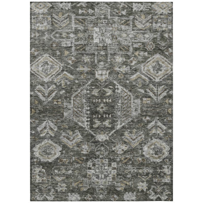 Machine Washable Indoor/Outdoor Earleville ACN2356 Traditional Rug