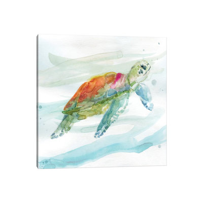 Tortue des tropiques I