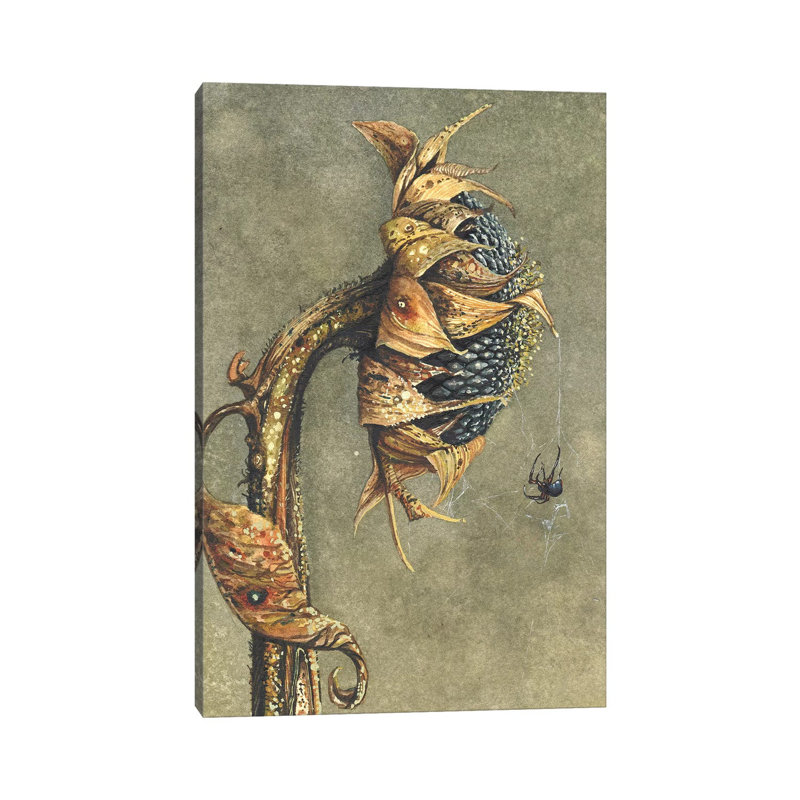 Along Came A Spider by Maggie Vandewalle - Wrapped Canvas Print, 66.04 cm H x 45.72 cm W x 3.175 cm D