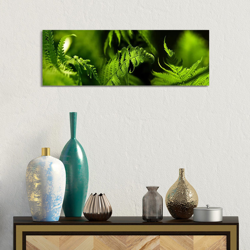 Fern - Wrapped Canvas Panoramic Print, 30.48 cm H x 91.44 cm W x 1.91 cm D