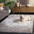 Northport Performance Abstract Rug-1469559926