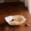 Resin Dessert Bowl