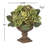 Artichoke Arrangement in Pot