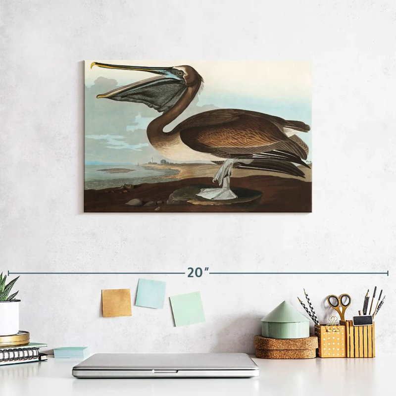 Brampt Brown Pelican I, 8" H x 12" W