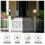 Elisia Transparent Lantern Head