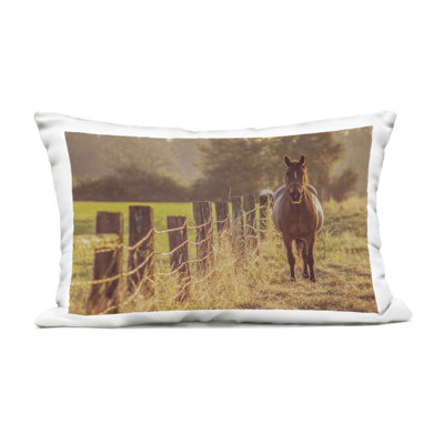 Horse's Farm at Dawn Outdoor Printed Pillow design by Norm Stelfox