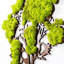 Traditional Landscape & Nature Wall Decor on Wood