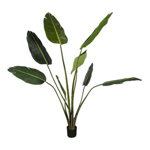 Tree 122cm Plant