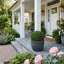 Ball-Shaped Boxwood Topiary In Plastic Liner