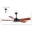 Reanda 57'' Ceiling Fan with LED Lights