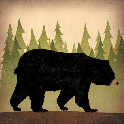 «Take A Hike Bear» sans mots