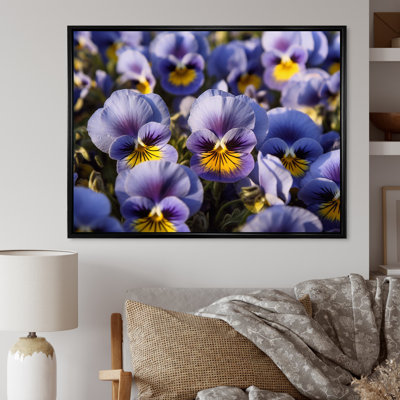 " Purple Yellow Pansies Harmony II "