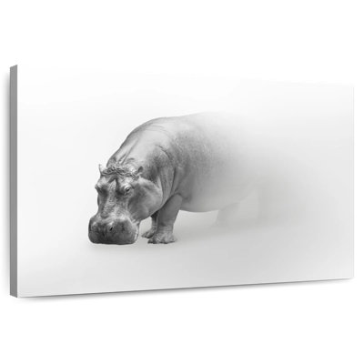 Hippopotame fantôme