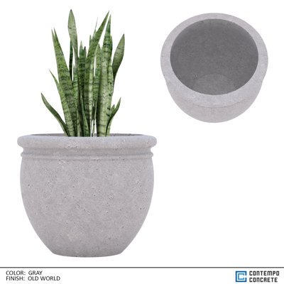 Dora Planter